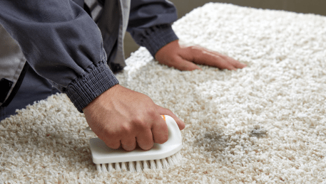 Professional Rug Cleaning Box Hill