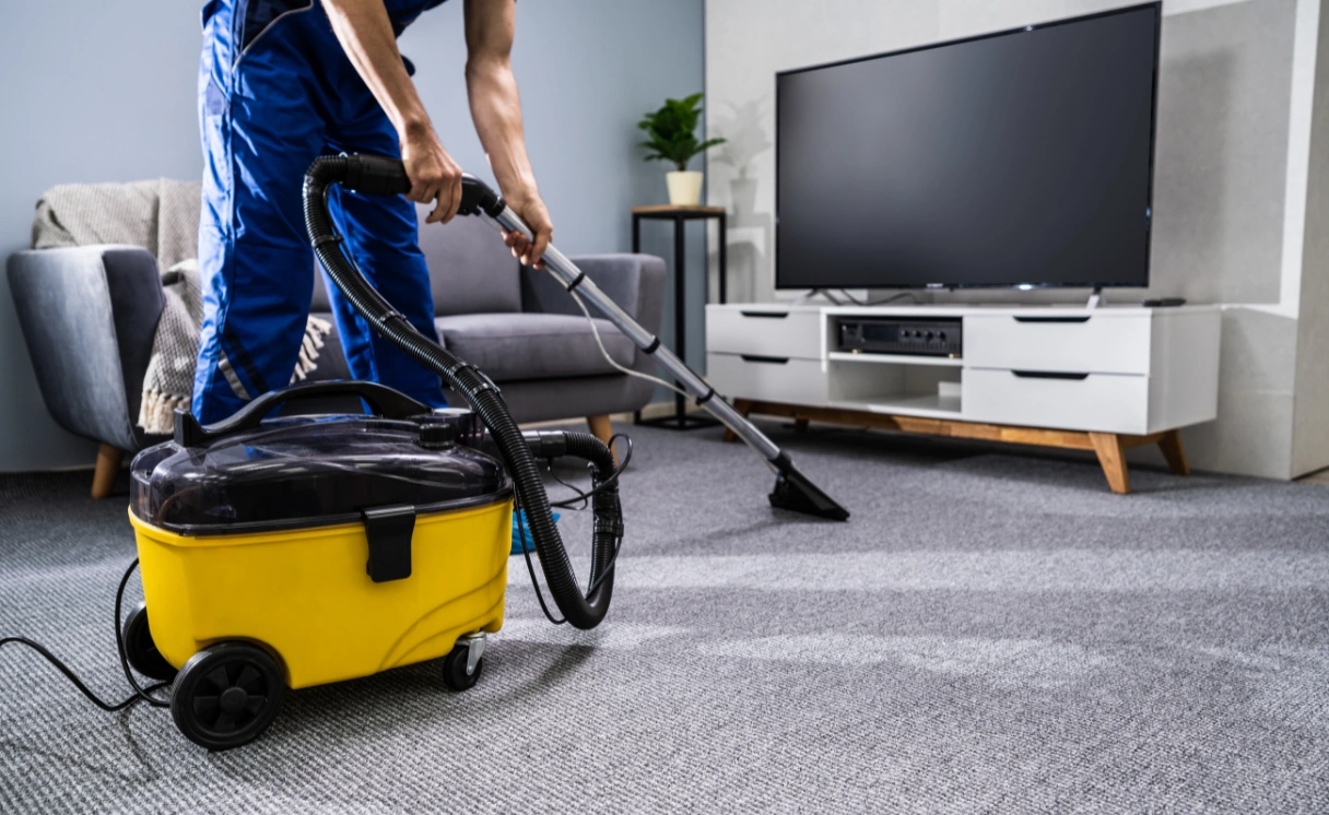 Extract Rug Cleaning Box Hill Contact Office
